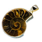 Ammonite Fossil Pendants handcrafted by Ana Silver Co - PD735491